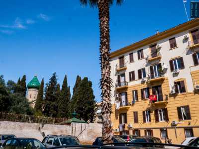 Raggiungiamo quindi il cortile, un largo spiazzo decorato con due alte palme...